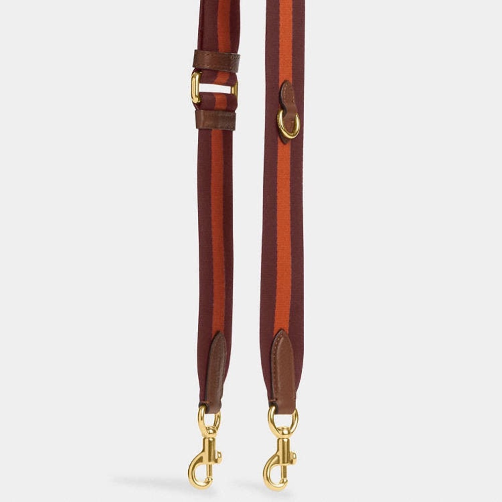 Coach novelty bag strap